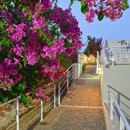 Apartment Oliv